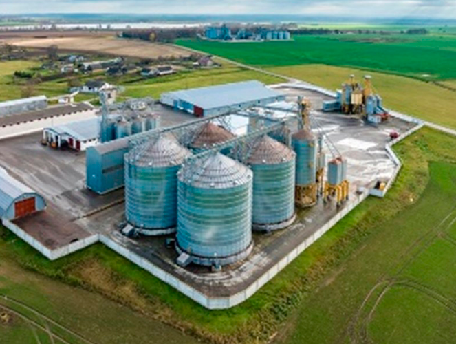 Silos vista cenital
