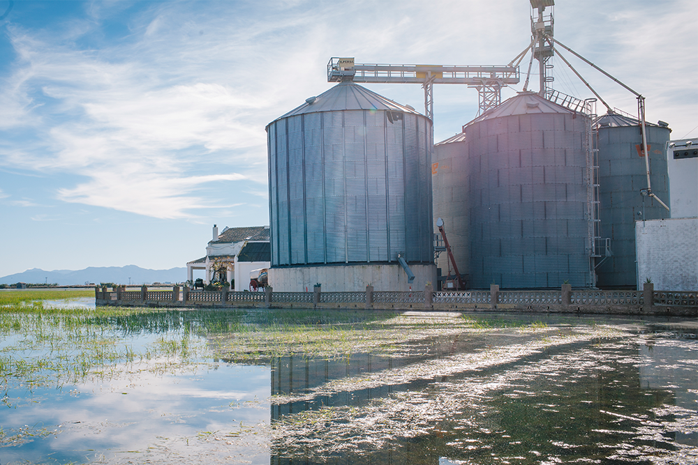 Silos de alimento balanceado